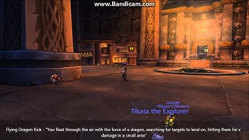 Monk Animation Preview - Windwalker and Brewmaster