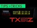 FM Synthesizer Programming Tips Tricks Video Yamaha TX81Z