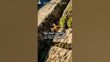 Surat No 16 : سورة النحل - Ayat No 68