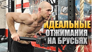 картинка: Как делать ОТЖИМАНИЯ НА БРУСЬЯХ правильно — техника, прогрессия, ошибки