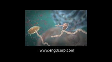 PROTEIN FOLDING MECHANISM EXPLAINED! Device to Protect Against Misfolding Problems & Disease #shorts