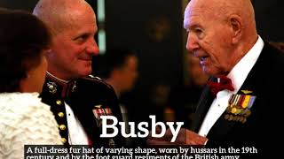 How Does Busby Look? How To Say Busby In English? What Is Busby?