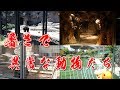 【４ｋ】あまりの暑さに動物も異常な行動に！天王寺動物園 後編