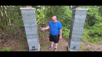 How I am adding queen excluders in 2022 part 2.  #beekeeping #beekeeper #honeybees