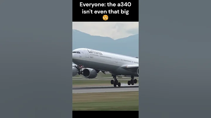 The a340 isn't even that big 😒 #foryou #plane #aviation #shorts
