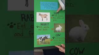 PERTANDINGAN BUKU SKRAP SAINS- ANIMALS EATING HABIT