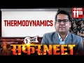 THERMODYNAMICS in 1Shot | All Concepts &amp; PYQs Covered | Safar NEET 2026