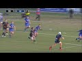 Zebre v Leinster- Francois Brummer Try 2