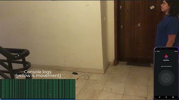 Wifi human detection video demo