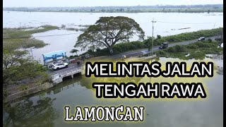 RAWA-RAWA DI BULUTENGGER LAMONGAN, DRONE VIDEO