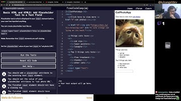 Agregando placeholder a campo de texto en HTML - freeCodeCamp en Español