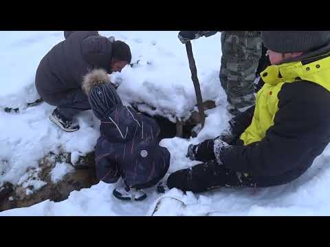 Экскурсия по Большой Воронежской Экологической Тропе