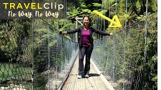 Jumping From Swing Bridge In New Zealand