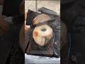 आखिर लोग नारियल को जलाकर क्यों पीते हैं? |Why Is Coconut Burned Before Drinking? #ytshorts