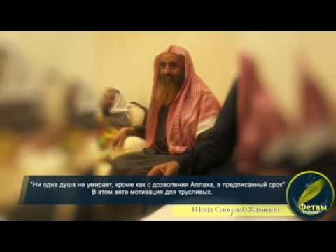 мухаммад ибн хусейн аль-кахтани. нуния кахтани. доктор саид аль кахтани. саид аль кахтани. саид кахтани.