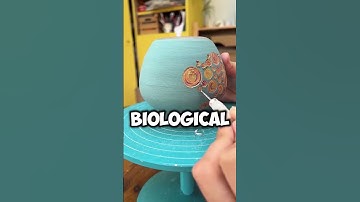 What was the biggest plot twist of your life ?