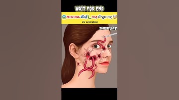 Wait For End 😱 #ashortaday #tranding #viral #shorts