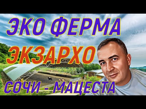 ЭКО Ферма ЭКЗАРХО. Сочи - Мацеста. Что там делать зимой?