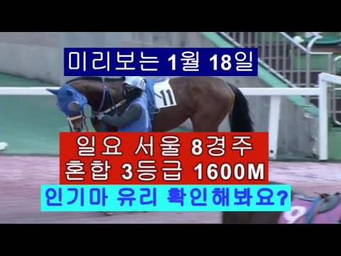1월 18일 미리보는 일요 서울 8경주 같이한번 공부해봐요