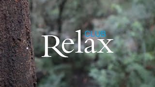 Музыка для релакса и сна. Красивейшие кадры леса. Relax.