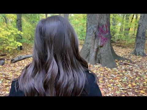 elephant. - A Short Film by Brandon Urikh