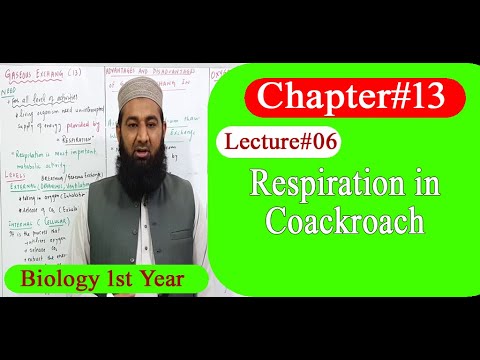 Biology Ch#13-Lecture#06 Respiration in Coackroach (F.Sc 1st Year)