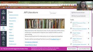 Rockdale HS - AP Literature - Distance Learning Week 1