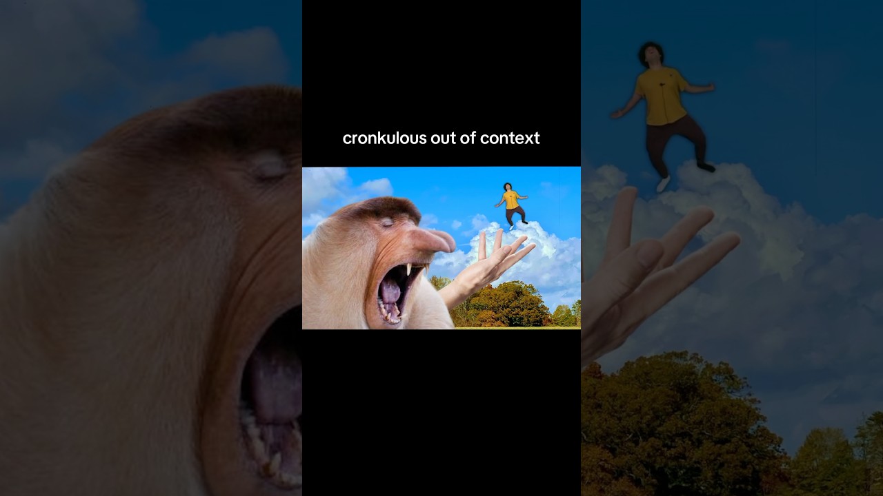 can someone explain what this is