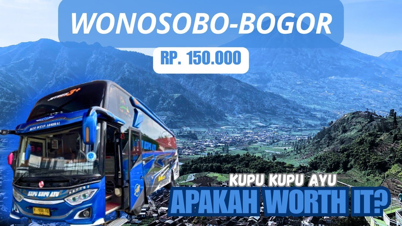Apakah Ini Penantang Sinar Jaya? Kupu Kupu Ayu, Wonosobo-Bogor,  Se Worth It itu kah?!