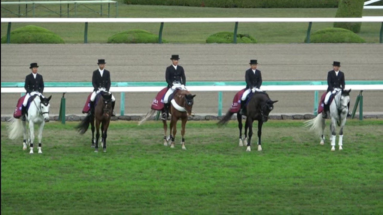 2022マイルCS】 タイキシャトルの仔が誘導 本馬場入場 現地映像