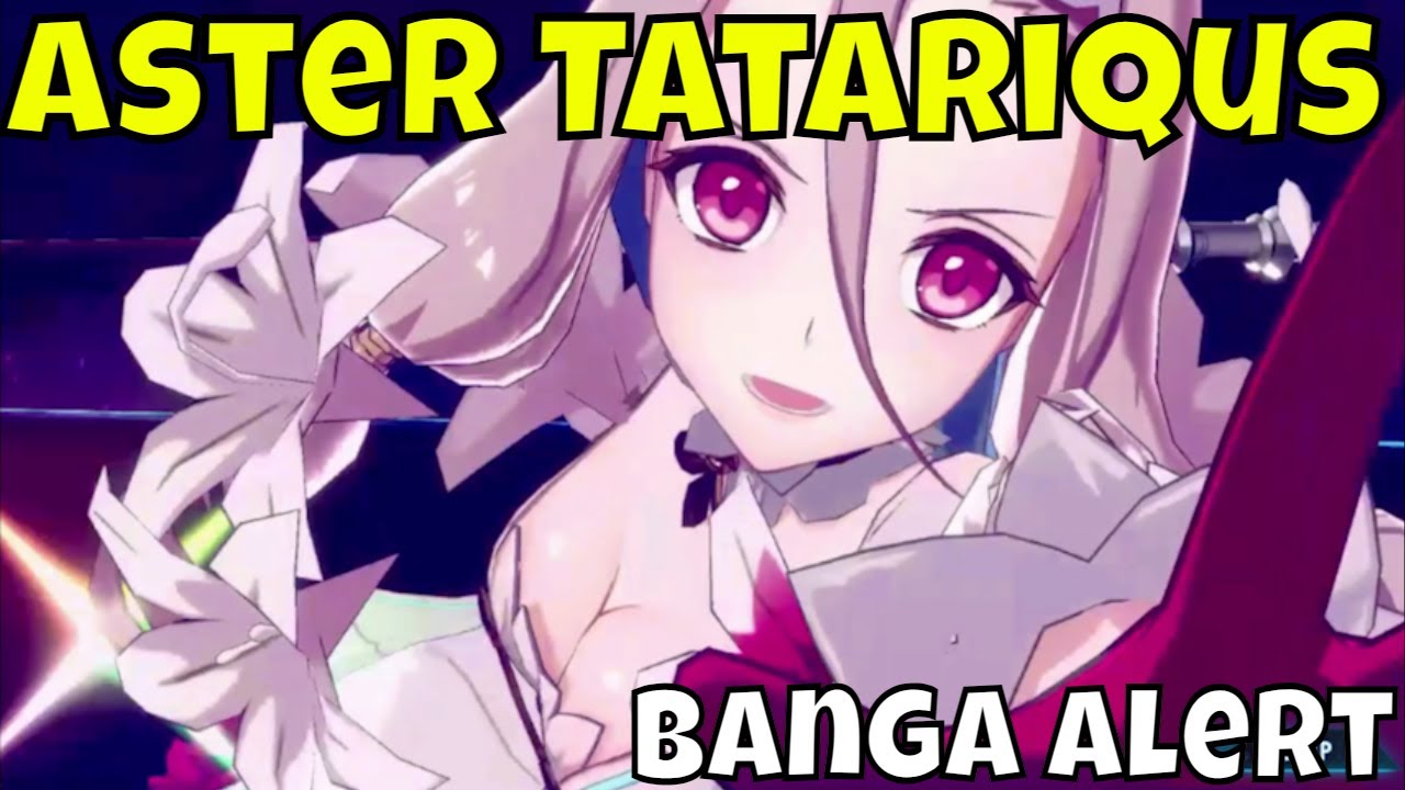 Aster Tatariqus - Hype Impressions/In-Depth Look/Banga Alert