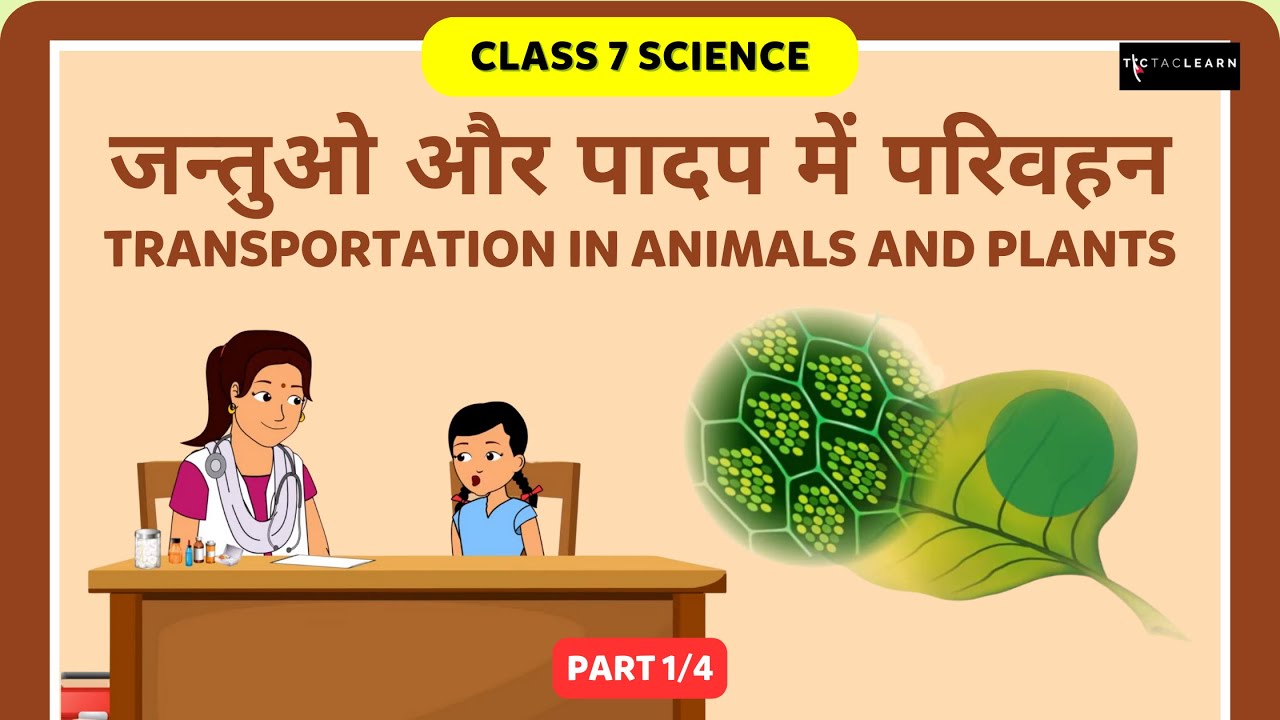 जन्तुओ और पादप में परिवहन | Part 1/4 | Transportation In Animals And Plants | Class 7 Science