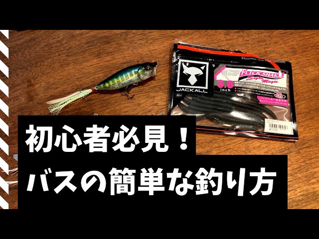琵琶湖バス釣り】初心者必見！ブラックバスの簡単な釣り方を伝授！実釣