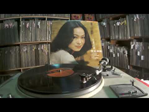 江蕾 Jiang Lei -- b2 難忘的情意