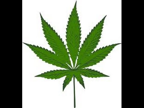 Neurociencia de la Mariguana