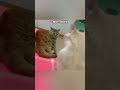 ۱۰فیلم از ملا و نجيب بروت و میراغا سالنگی ۱۰فیلم از ملا و نجيب بروت و میراغا سالنگی