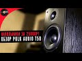 Напольники за 25000р! Обзор акустики Polk Audio T50