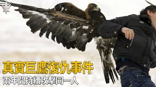 真實巨鷹復仇事件，2012年中國黑龍江省某楊姓村民持續被同一隻巨鷹攻擊，遍體麟傷慘不忍睹，事件背後的真相令人生氣又難過。