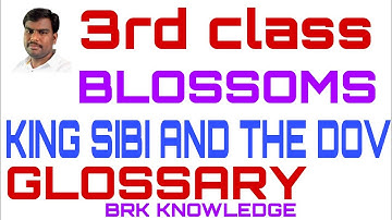 The king sibi and the dove ,3rd class English, glossary