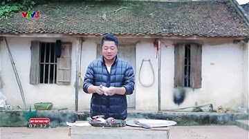 Đến Bắc Giang thưởng thức món gỏi cá mè ngon nức tiếng