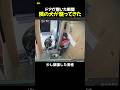 迷惑な飼い主に見てほしい動画