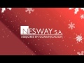 [WEB] NESWAY - Saludo de Fin de Año 2013