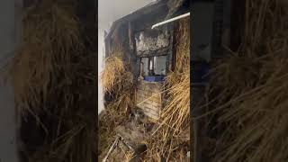 VID 20240217 WA0002 1