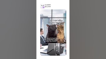 Sorry boss! || Link in the description! || Merlin AI Extension