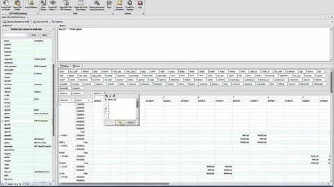ZenFlex GAF Viewer -  Sage UBS 2015 Data Viewer Feature