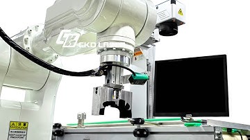 Full automated laser equipment: load, place, transfer, pontificate, mark, count & unload