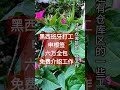 办理申根签证～西班牙打工，介绍工作。 #移民欧洲 #出国劳务