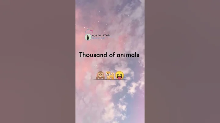 Dear brother 😀 | funny quotes | what's app status #brothersister #quotes #funnyshorts