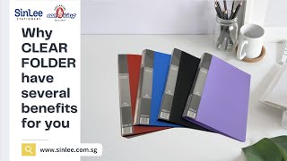 Benefits A4 CLEAR FOLDER - Seaking #shortsvideo #shorts