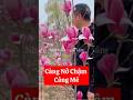 Mộc lan - càng nở chậm càng khiến người ta mê mẩn. ☎️092.391.6866. #moclan #nhavuonngoclam